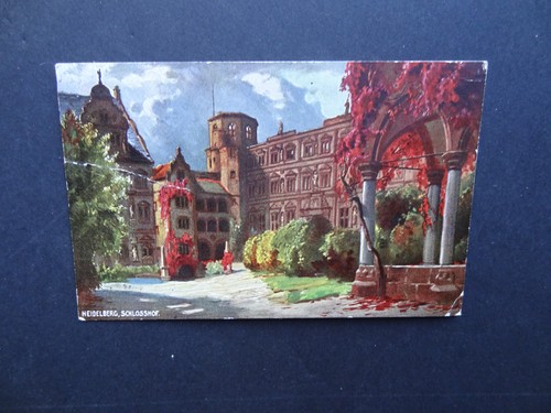 Schlosshof heidelberg - schlosshof,