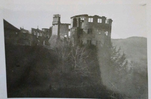 Heidelberg schloß ruine altes - heidelberg,