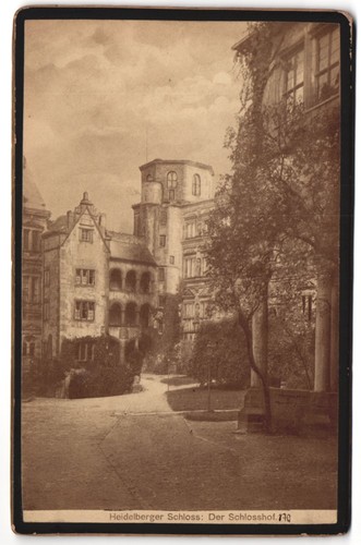 Fotografie heidelberg - fotografie,