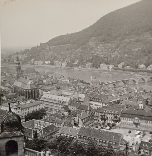 Heidelberg blick von terrasse - heidelberg,