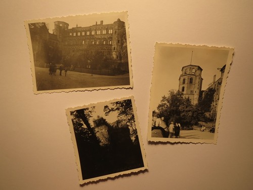 Heidelberg heidelberger - heidelberg,