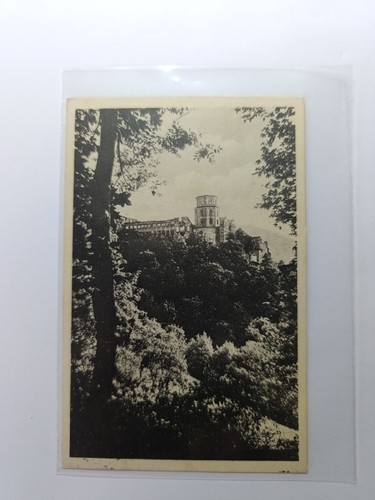 2096ak heidelberg schlosspark - heidelberg,
