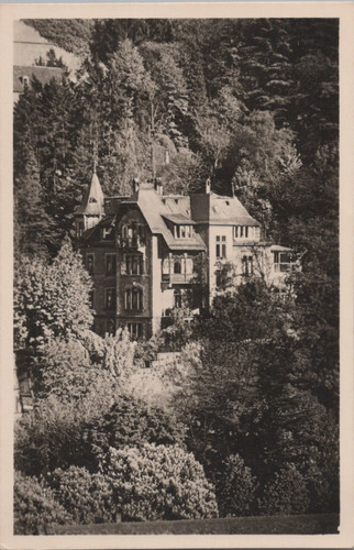 Heidelberg frauenklinik st - ak,