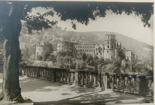 Ansichtskarte heidelberger - ansichtskarte,