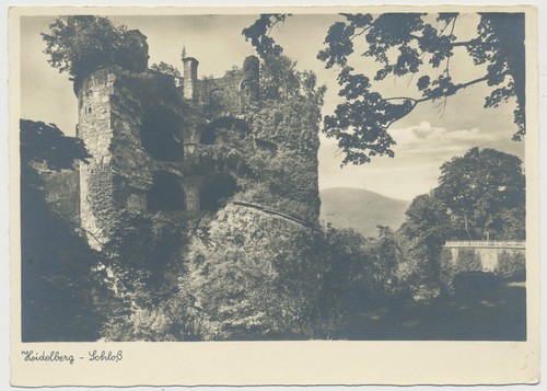 Heidelberg schloß - ak,